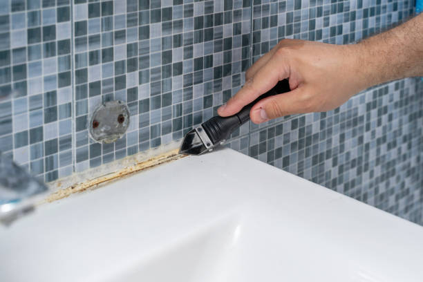 Best Certified Mold Removal  in Plentywood, MT
